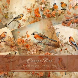 Orange Vögel und Blumen Junk Journal Kit Vintage Ephemera Journal Digitales Papier Scrapbooking druckbare Florale Collage Sheets Kommerzielle Nutzung