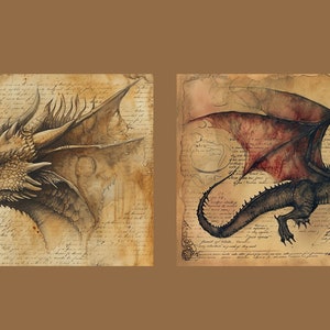 May include: Two dragons drawn on parchment paper. The first dragon is a close-up of the head and neck of a light brown dragon with a spiky crest. The second dragon is a black dragon with red wings, drawn in profile, flying with its wings spread.