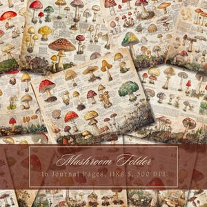 Kit de journal indésirable champignon vintage journal botanique champignon vénéneux journal numérique papier Scrapbooking herboristerie jardin feuilles de collage imprimables minables