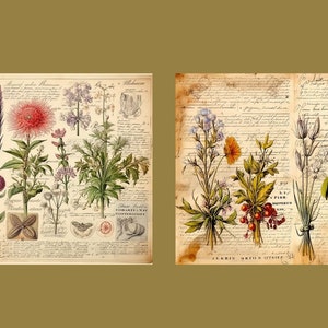 Botanical Herbs Junk Journal Kit Botany Collage Sheet Herbal Digital Paper Scrapbooking Watercolor Plant Vintage Ephemera Apothecary Pages image 4