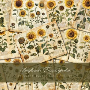 Kit per diario di girasole, diario vintage con effimeri girasoli, carta digitale, scrapbooking floreale, pagine stampabili ad acquerello, download istantaneo
