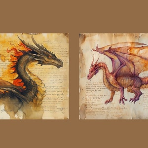 May include: Two watercolor paintings of dragons on a parchment background. The first dragon is black with orange flames and has its wings spread out. The second dragon is red and orange with its wings spread out.