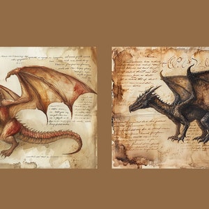 May include: Two detailed illustrations of dragons on a parchment background. The first dragon is red with gold accents and has its wings spread. The second dragon is black with brown accents and has its wings spread.