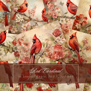 Carnet cartonné rouge oiseaux et fleurs kit vintage journal éphémère oiseaux papier numérique pour scrapbooking feuilles de collage imprimable