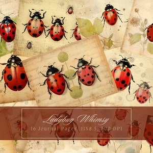 Kit di diario spazzatura rustico coccinelle Vintage Ephemera Journal carta digitale per Scrapbooking fogli di collage stampabili shabby floreali misti
