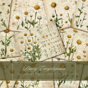 Daisy Junk Journal Kit Vintage Ephemera Journal Spring Flower digitaal papier scrapbooking bloemen afdrukbare aquarel pagina's direct downloaden