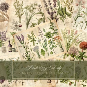 Botanische kruiden ongewenste Journal Kit plantkunde collage blad kruiden digitale papier scrapbooking aquarel plant vintage Ephemera apotheker pagina's
