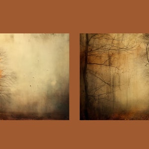 Puede incluir: Dos im&aacute;genes de un bosque brumoso. La primera imagen muestra un solo &aacute;rbol naranja en el centro de la imagen. La segunda imagen muestra un camino a trav&eacute;s de un bosque denso.