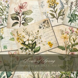 Kit de diario basura con flores silvestres en acuarela, página imprimible para jardín, flores, papel digital, hojas de collage botánico, estilo shabby chic floral