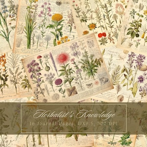 Kit de carnet de voyage herbes botaniques feuille de collage botanique à base de plantes papier numérique scrapbooking aquarelle plante vintage pages d'apothicaire éphémères