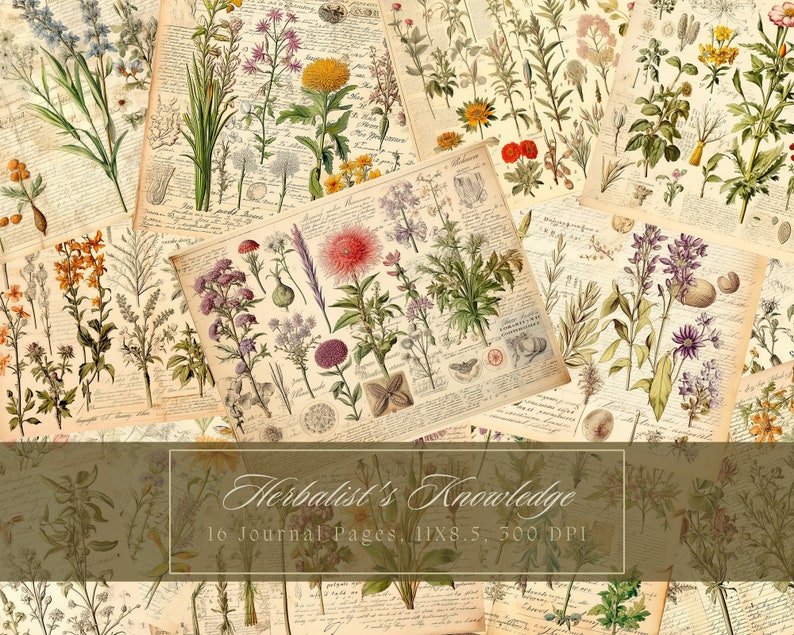 Botanical Herbs Junk Journal Kit Botany Collage Sheet Herbal Digital Paper Scrapbooking Watercolor Plant Vintage Ephemera Apothecary Pages image 1