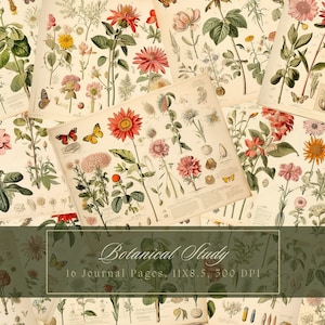 Vintage botanical Collage Sheets Floral Junk Journal Kit Decoupage Digital Paper Scrapbooking Flowers Printable Pages Instant Download