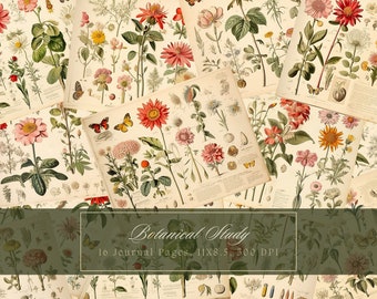 Fogli di collage botanico vintage Kit di diario spazzatura floreale Decoupage Carta digitale Scrapbooking Fiori Pagine stampabili Download immediato