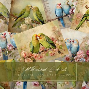 Kleurrijke tortelduifjes en bloemen Junk Journal Kit Vintage Ephemera Journal Vogels Digitaal Papier voor Scrapbooking Afdrukbare Collagebladen
