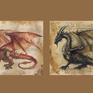 May include: Two dragons, one red and one black, are depicted on a parchment background. The red dragon is on the left and the black dragon is on the right. Both dragons have wings spread out and are facing forward.