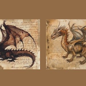 May include: Two detailed illustrations of dragons on aged parchment paper. The first dragon is black with brown wings and a long tail. The second dragon is brown with light brown wings and a long tail. Both dragons have sharp claws and teeth.