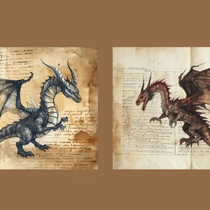 May include: Two dragons, one black and one red, are drawn on aged parchment paper. The black dragon has a long, slender neck and a long tail. The red dragon has a shorter neck and a shorter tail. Both dragons have wings and are drawn in a realistic style.