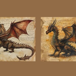 May include: Two detailed watercolor paintings of dragons on an aged parchment background. The dragons are brown and black with red and orange wings. The dragons are facing different directions.