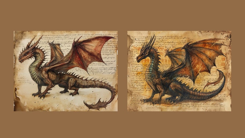 May include: Two detailed watercolor paintings of dragons on an aged parchment background. The dragons are brown and black with red and orange wings. The dragons are facing different directions.