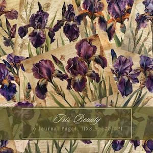 Kit di diario spazzatura Iris acquerello Vintage Floral Beautiful Journal Carta digitale per Scrapbooking Pagine squallide stampabili Download istantaneo