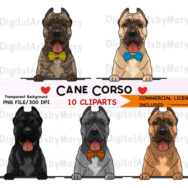 Cute Cane Corso Clipart Set- PNG File- Instant Download : Cane Corso Stickers for Digital Planners, Cane Corso Digital Stickers