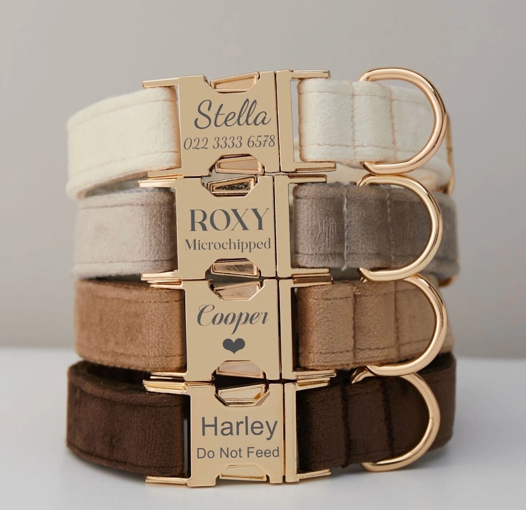 Laser Engraved Pet Collars - Etsy
