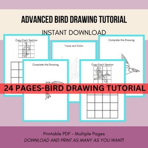 May include: A printable PDF tutorial for drawing birds. The tutorial includes 24 pages with instructions on how to copy each section of a bird, trace and color, and complete the drawing. The text "24 PAGES-BIRD DRAWING TUTORIAL" is in a red banner.