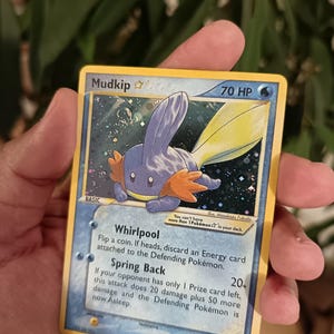 Puede incluir: Una carta coleccionable Pokémon de Mudkip con 70 HP, que presenta un patrón de estrellas holográfico en la ilustración. El texto de la carta incluye los ataques Whirlpool y Spring Back, junto con la nota de que no puedes tener más de una estrella.