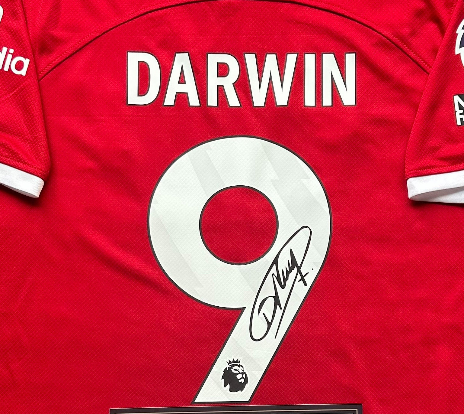 darwin football shirt number meanings