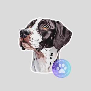 Könnte beinhalten: Ein Aufkleber mit einem Deutsch Kurzhaar Hund. Der Hund hat ein schwarz-weißes Fell, braune Augen und eine schwarze Nase. Der Aufkleber hat einen weißen Rand und ein Pfotenabdruck-Logo.