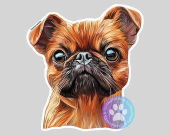 Peut inclure: Portrait rapproché d'un griffon bruxellois brun et fauve avec une expression sérieuse. La fourrure du chien est courte et lisse, et ses yeux sont brun foncé. Le nez du chien est noir, et sa bouche est légèrement ouverte. Les oreilles du chien sont dressées et pointues.