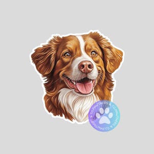 Nova Scotia Duck Tolling Retriever Sticker, Sticker Gift, Cute Stickers, Animal Decals, Macbook Decal, Laptop Stickers, Water Bottle Decal