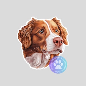 Nova Scotia Duck Tolling Retriever Sticker, Sticker Gift, Cute Stickers, Animal Decals, Macbook Decal, Laptop Stickers, Water Bottle Decal