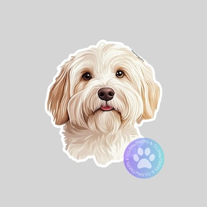 Coton De Tulear Sticker, Sticker Gift, Cute Stickers, Animal Decals, Macbook Decal, Laptop Stickers, Water Bottle Decal