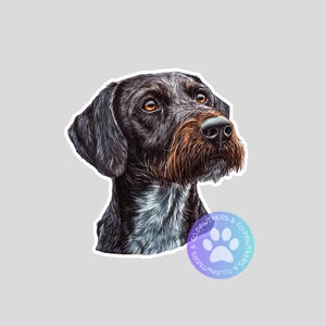 May include: A sticker featuring a detailed illustration of a dog's head. The dog has dark brown and black fur with a brown muzzle and beard. The dog's eyes are a warm amber color. A paw print logo is in the bottom right corner.