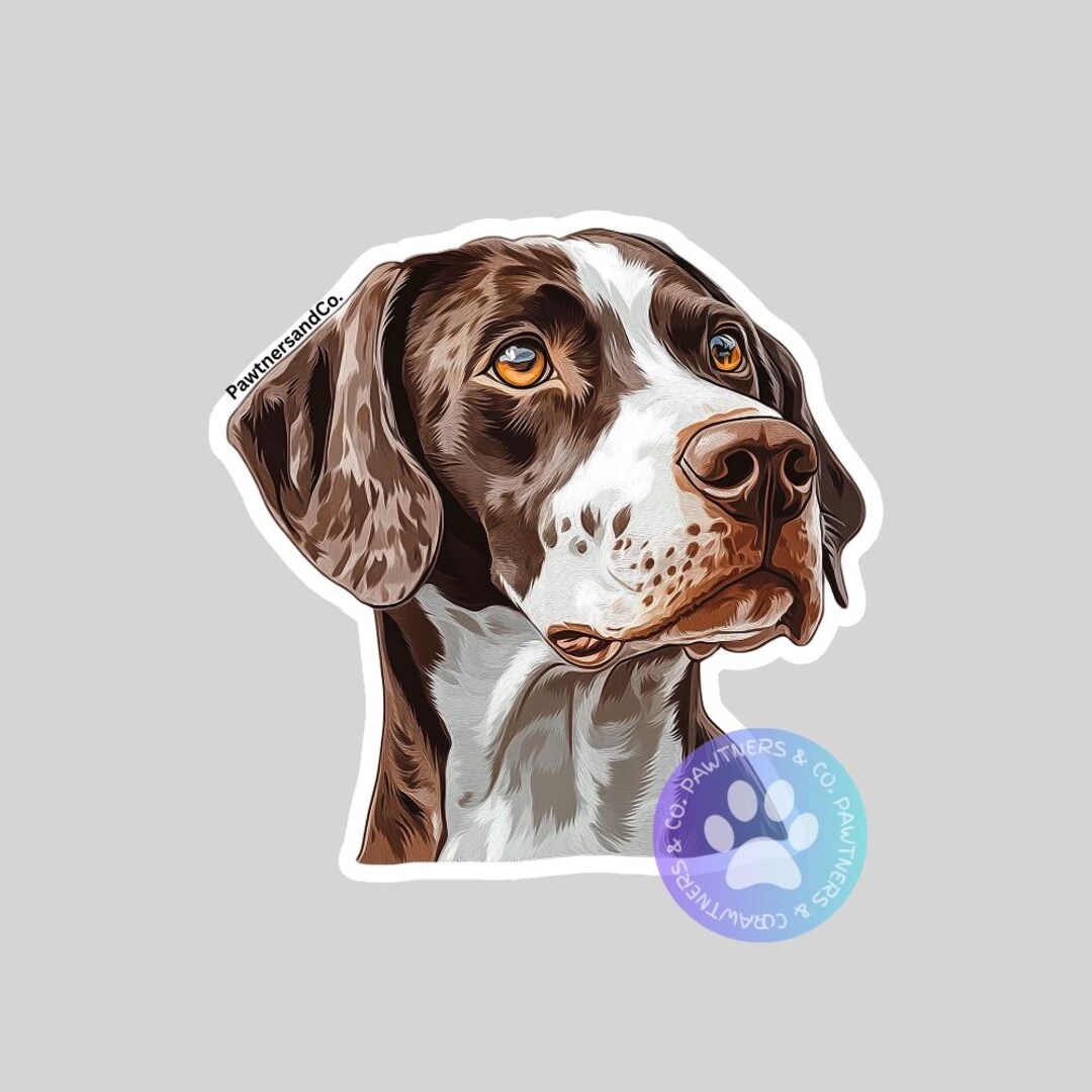 German Shorthair Pointer 2 Sticker, Sticker Gift, Cute Stickers, Animal ...