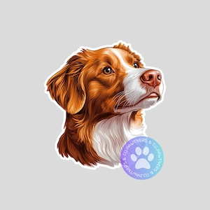 Nova Scotia Duck Tolling Retriever Sticker, Sticker Gift, Cute Stickers, Animal Decals, Macbook Decal, Laptop Stickers, Water Bottle Decal