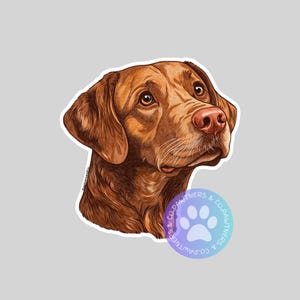 Chesapeake Bay Retriever Sticker, Sticker Gift, Cute Stickers, Animal Decals, Macbook Decal, Laptop Stickers, Water Bottle Decal