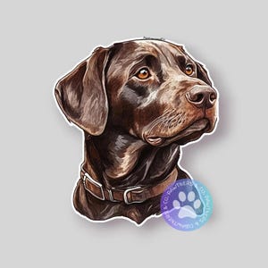 Chesapeake Bay Sticker, Sticker Gift, Cute Stickers, Animal Decals, Macbook Decal, Laptop Stickers, Water Bottle Decal