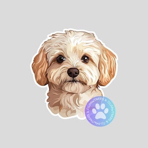 May include: A sticker featuring a light brown and white dog with dark brown eyes and a brown nose. The dog's fur is fluffy and detailed. A circular logo with a paw print and the text "& CO.PAWTNERS" is in the bottom right corner.