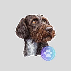 May include: A sticker featuring a detailed illustration of a brown and white Wirehaired Pointing Griffon dog. The dog has a long, brown beard and a white patch on its chest. The sticker has a white border and a paw print logo.