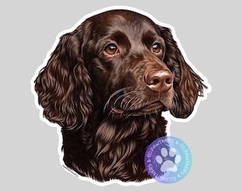 Boykin Spaniel Sticker, Weatherproof Vinyl Decal