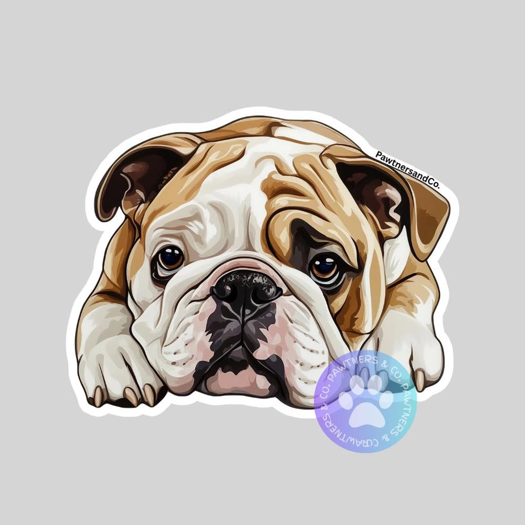 English Bulldog Sticker, Weatherproof Vinyl Decal - Etsy