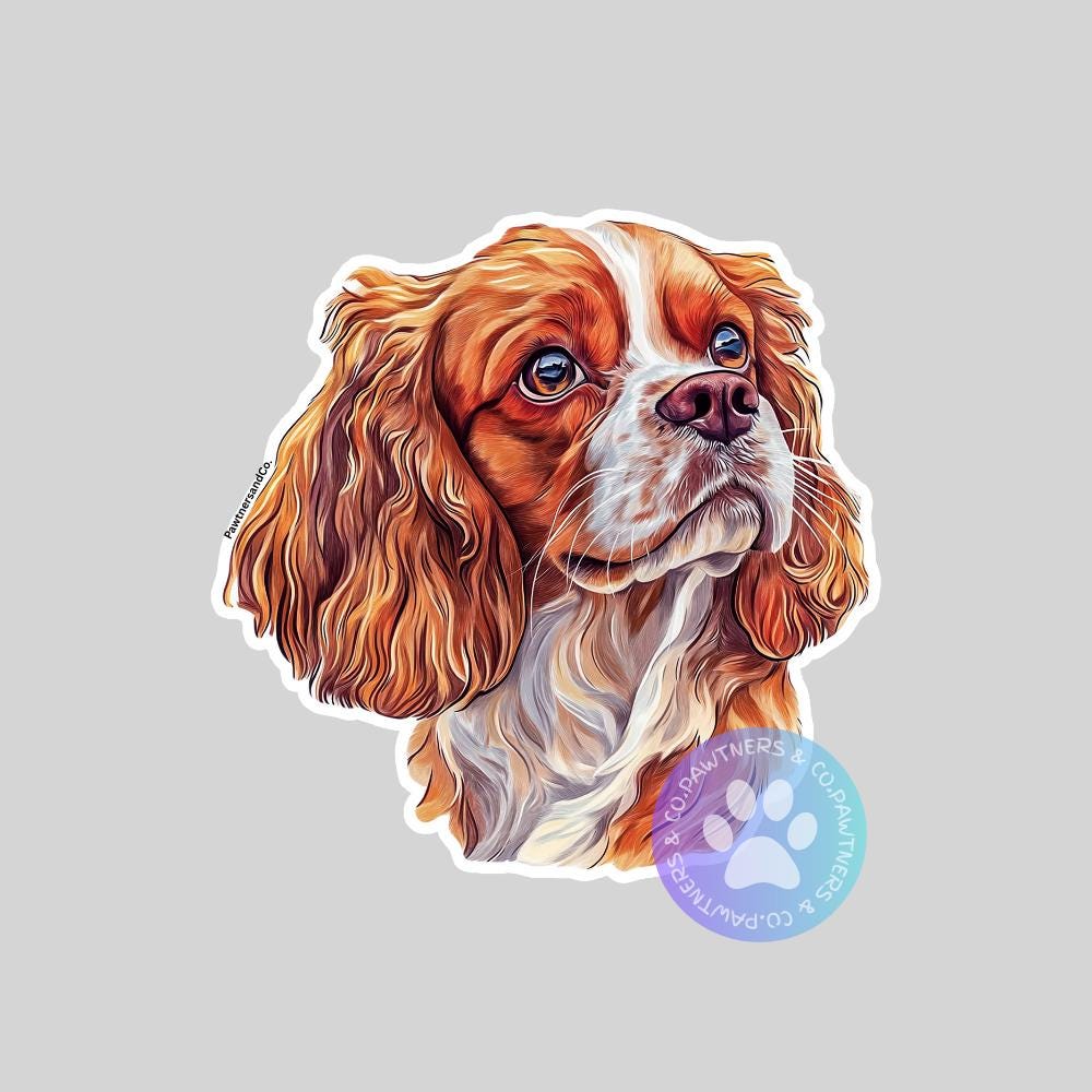 Cavalier King Charles Spaniel Sticker, Weatherproof Vinyl Decal - Etsy