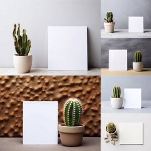 Lot de 12 maquettes à plat et sur pied | Cactus | Ajoutez vos propres produits | Maquette d'arrière-plan numérique | Maquettes de créateur de scène | Photoshop