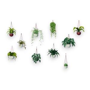 May include: A collection of hanging planters with various green plants against a white background. The planters are in different shapes and sizes, some with brown pots, others with white. The plants vary in type, from leafy to trailing.