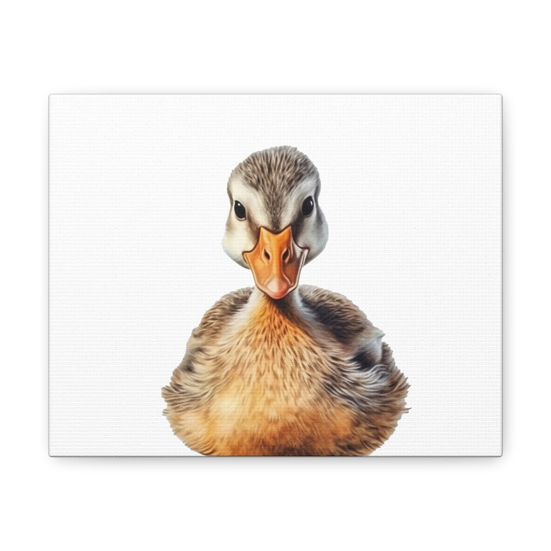 Duck Nursery Decor, Wall Art, Baby Animal Canvas for Nursery, Nursery
