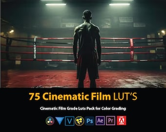 75 Cinematic Film LUTs Pack for Color Grading | Video and Photo Mobile & Desktop | Premiere Pro, DaVinci Resolve,Final Cut, Photoshop