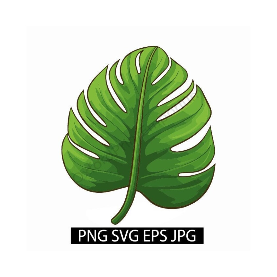 Lilo Leaf SVG Monstera Leaf PNG Jpeg EPS Clipart - Etsy