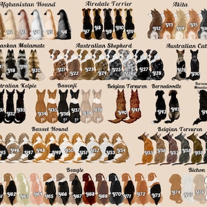 Op de afbeelding: Een grafiek met illustraties van verschillende hondenrassen, elk met een uniek kleurenschema. De grafiek bevat rassen zoals de Afghaanse windhond, Airedale Terrier, Akita, Alaskan Malamute, Australian Shepherd, Australian Cattle Dog, Australian Kelpie, Basenji, Belgische herder, Bernedoodle, Berner Sennenhond, Basset Hound, Beagle en Bichon Frise.